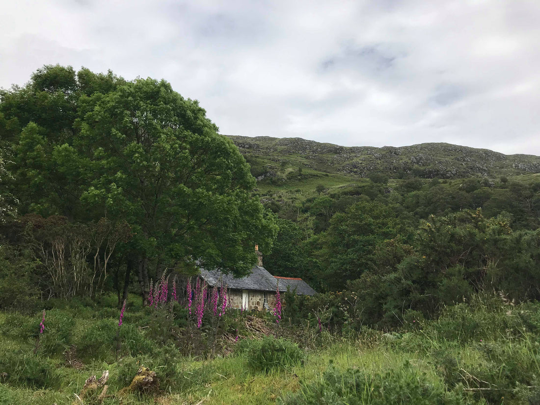 Bothy sessions - The Story of the Highland Bothy