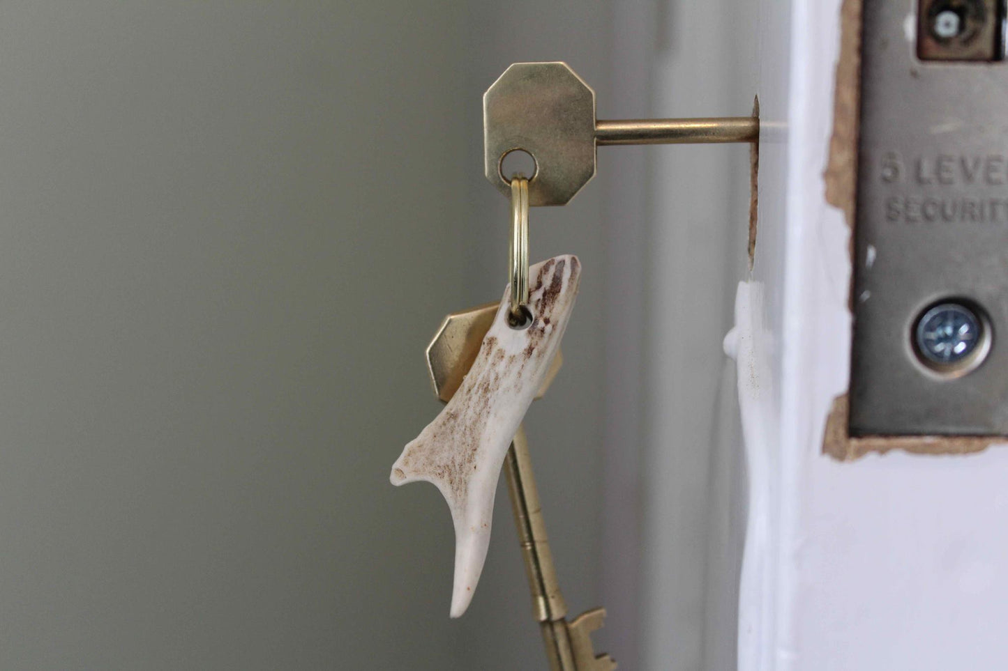 Roe Deer Antler Key Ring - J Boult Designs