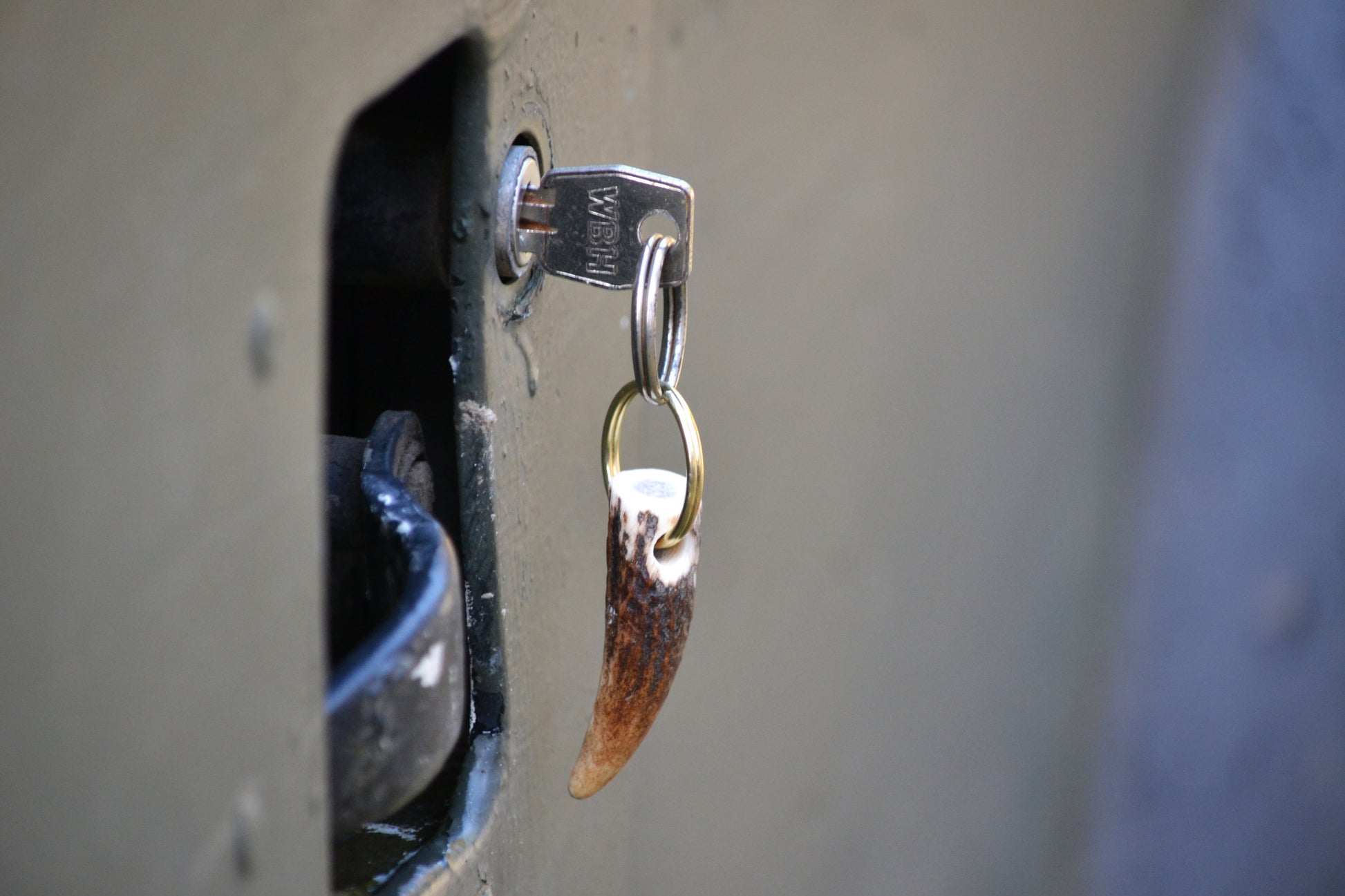 Red Deer Antler Key ring - J Boult Designs